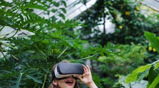 Bild: istock