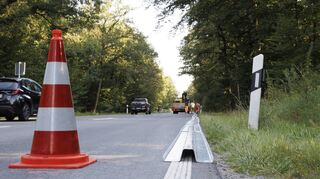 Die neuen Leitplanken liegen am Rand der L 3111 zur Montage bereit. Während der Arbeiten ist die Strecke durch den Wald für den Kfz-Verkehr halbseitig gesperrt.