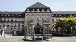 Die Uniklinik Mannheim koordiniert eine internationale Forschungsarbeit, um die Wirksamkeit einer innovativen Behandlungsmethode zu testen.