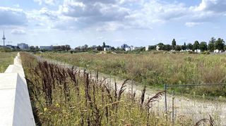Vom Rand des früheren Buga-Geländes geht der Blick auf den Standort der künftigen Gemeinschaftsschule an der Rüdesheimer Straße (Mitte l.) Ecke Wachenheimer Straße. Letztere führt in der Mitte von rechts aus dem Bild.