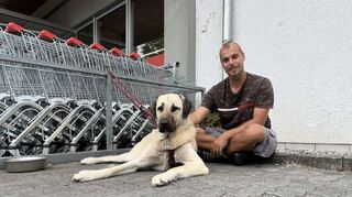 <p>Im Sommer war der Obdachlose Norman mit seiner Hündin "Handtuch" häufig vor dem Penny in Ilvesheim anzutreffen.<br></p>