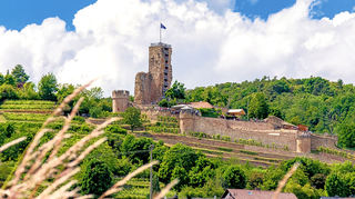 Die Wachtenburg thront über der Stadt und ein Aufstieg wird mit einem ganz besonderen Ausblick über die Weinberge und die Rheinebene belohnt.