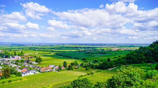 Schon früh erkannten die Menschen hier das besondere Potenzial der Böden und des Klimas: Die Region ermöglicht erstklassige Rieslinge.
