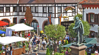 Maikammers Gartenmarkt: Rund 120 regionale, überregionale und internationale Aussteller warten hier auf die Besucher.