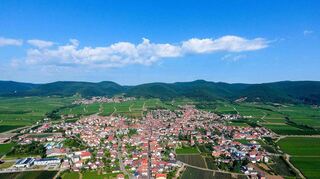Die Weinberge rund um Maikammer erstrecken sich über sanfte Hügel und bieten optimale Bedingungen für den Weinbau.