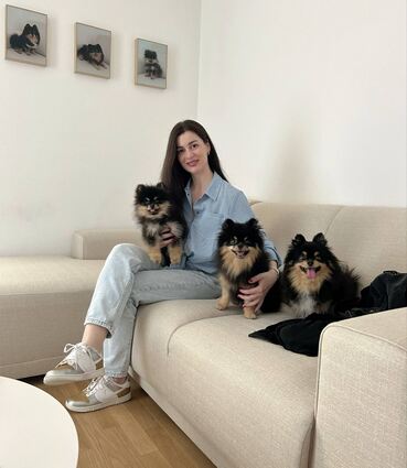 Die Stars Willy, Hugo und Henry (v.l.) ganz geerdet auf der heimischen Couch mit ihrer Besitzerin.