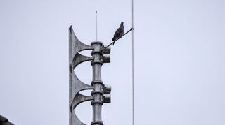 Bundesweiter Warntag 2024: Mannheim, Heidelberg und Ludwigshafen machen mit (Symbolbild).