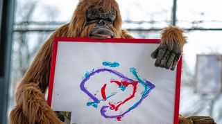 <p>"Rotes Herz" von Orang-Utan-Dame Ujian ging für 240 Euro weg - gehalten wird es hier nicht von der Künstlerin, sondern von einem Verwandten aus Plüsch.</p>