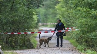 Nahe der Grillhütte "Heidetränke" im Lampertheimer Wald wurde am Montag eine Frauenleiche entdeckt. Am Dienstag war die Polizei mit einem Spürhund vor Ort.