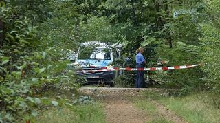 Der Fundort der Leiche im Lampertheimer Wald.