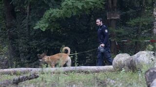 Ein Polizist mit Hund auf Spurensuche im Lampertheimer Wald. Dort wurde am Montag eine getötete 36-Jährige entdeckt.