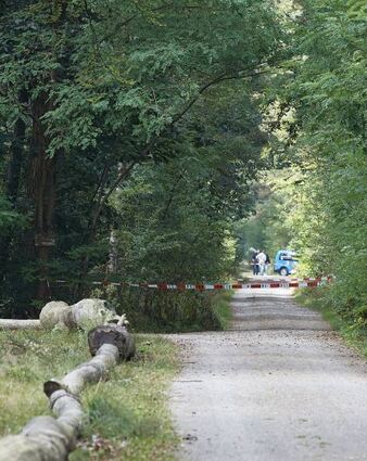Der Tatort im Lampertheimer Wald nahe der Grillhütte Heidetränke.