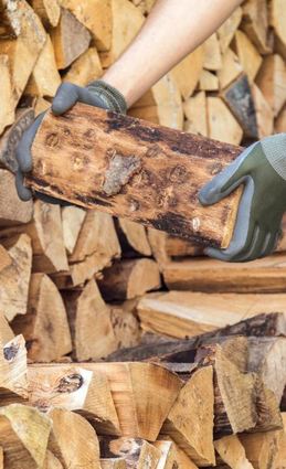 Betrüger haben die erhöhte Nachfrage nach Holz erkannt.