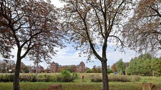 Blick über die Platzwiese zum historischen Turley-Zentrum: Grünflächen macht auf dem Zwölf-Hektar-Gesamtareal knapp ein Fünftel aus.