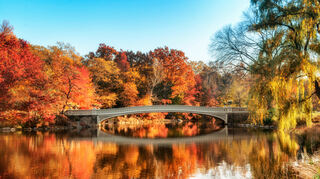 Indian Summer im Central Park: New Yorks Herzstück gilt als einer der besten Orte um ihn zu erleben.