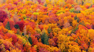 Nach dem Sommer kommt der Indian Summer: Eine Saison voller bunter, leuchtender Farben.