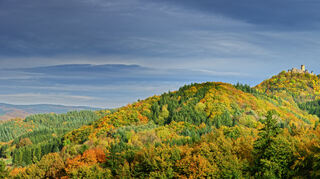 Die Eifel: Geprägt durch Hügel, tief eingeschnittene Täler, dichte Wälder und zahlreiche Maare.