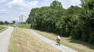 Das geplante Gelände für einen neuen Jugendtreffplatz liegt zwischen Freibad und Altrheindamm.
