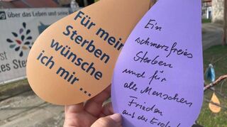 Diese Luftballons sind Teil der Ausstellung, die jetzt ins Rhein-Neckar-Zentrum nach Viernheim kommt.