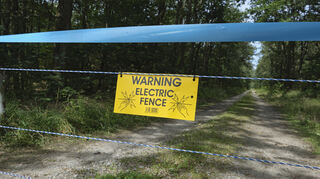 In Südhessen wurden, wie hier bei Lampertheim, Zäune aufgebaut, die die Ausbreitung der Schweinepest verhindern sollen.