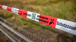 Auch im Wald rund um Mannheim wurden im Sommer Elektrozäune wegen der Schweinepest aufgebaut.