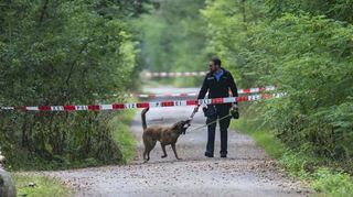 Die getötete Frau wurde im Lampertheimer Wald entdeckt. Der Fall war Thema in der ZDF-Sendung "Aktenzeichen XY".