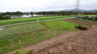 An dieser Stelle soll ab 2025 die neue Brücke zwischen Neckarhausen über den Neckar nach Ladenburg (Rampe im Hintergrund) entstehen.