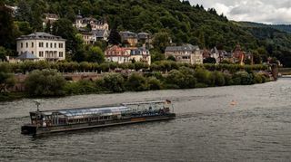 Der Neckar beim Heidelberger Stadtteil Neuenheim: In dem Gewässer wurden PFAS-Werte von einem bis fünf Mikrogramm pro Liter nachgewiesen.