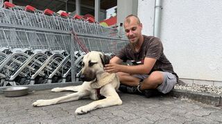 Seit mehreren Monaten hält sich der Obdachlose Norman mit seiner Hündin „Handtuch“ in Ilvesheim auf. Sie sind regelmäßig vor dem Penny anzutreffen.