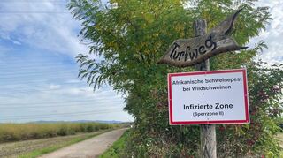 Der Turfweg beim Mannheim-Friedrichsfeld, auf dem am Montag eine Frauenleiche gefunden wurde, wirkt am Mittwochmittag einsam und verlassen.