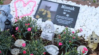 <p>Trauern mit Liebe zum Detail:Der Mannheimer Tierfriedhof zeugt von berührenden Liebesgeschichten zwischen Mensch und Tier.<br></p>