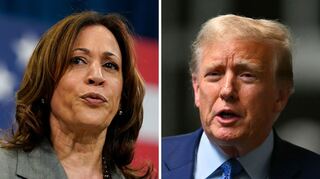 Wer zieht ins Oval Office ein - Kamala Harris oder Donald Trump? Historiker Manfred Berg blickt bei einer Veranstaltung an der Uni Heidelberg pessisimistisch auf die Zukunft der USA.