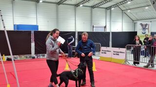 Tipps vom Profi: Bernhard, Melanie und Labrador Gizmo vom Verein „Hund und Sport Mannheim“ zeigen, wie ein Parcours bewältigt wird.