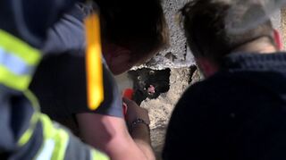 Die Feuerwehr Bürstadt befreit den eingeklemmten Kater.