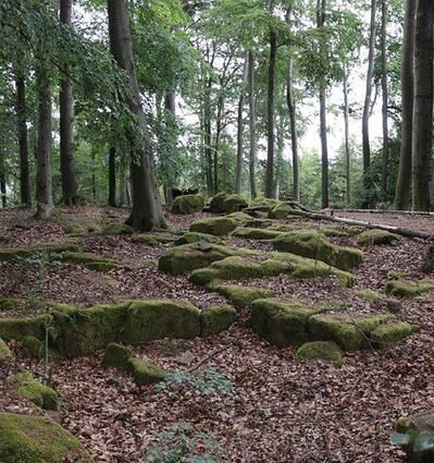 Links Fundamente von Häusern, die fast ausschließlich aus Holz bestanden. Von einem römischen Gebäude oder einem Grabmal stammt der sorgfältig bearbeitete Stein (rechts), der im Torbereich verbaut wurde.