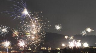 Macht die Afrikanische Schweinepest dem Silvesterfeuerwerk – wie hier in Weinheim – den Garaus?