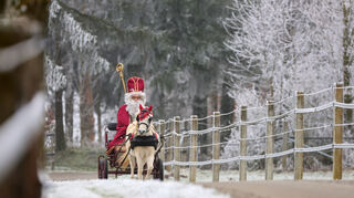 Mit Bischofsstab und rotem Mantel: Am 6. Dezember ist der Nikolaustag.