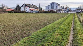 Gutachter sehen das Ladenburger Aufeld (im Vordergrund) bei der Frage zur Erweiterung von Gewerbeflächen in Ladenburg vorn.