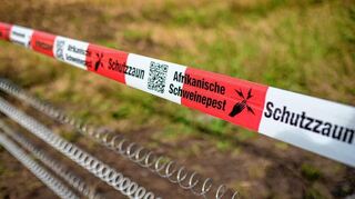Zur Eindämmung der Seuche wurden Zäune installiert.