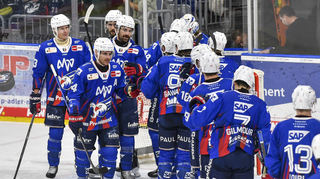 Die Adler Mannheim befinden sich auf einem guten Weg. Für die Spitze reicht es aber noch nicht.