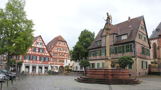 Für die Sanierung des Ladenburger Marktplatzes und des Brunnens fehlt noch ein Konzept.