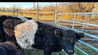 Der dreijährigen Lilly geht es nach dem Angriff wieder besser.