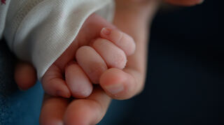 Die Hand eines zwei Wochen alten Neugeborenen liegt in der Hand seiner Mutter.