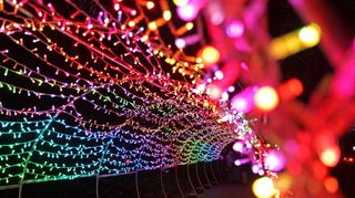 Ein Tunnel aus winzigen bunten Lichtlein – einer der neuen Höhepunkte der „Winterlichter“ im Luisenpark.