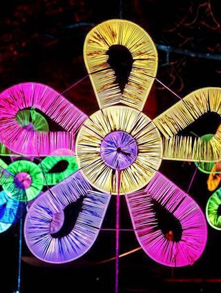 Wie einst die Pril-Blumen strahlen die bunten Blüten in der Nacht bei "Winterlichtern" im Luisenpark.