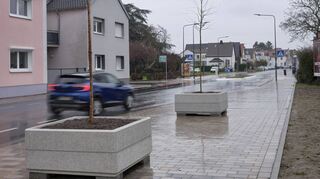 Entlang der sanierten Nibelungenstraße in Bürstadt wurden diese Pflanzkübel platziert. Sieben sind bisher mit je einem Baum bepflanzt.