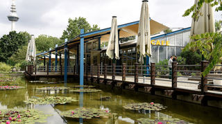 Das Pflanzenschauhaus im Mannheimer Luisenpark wird energetisch saniert.
