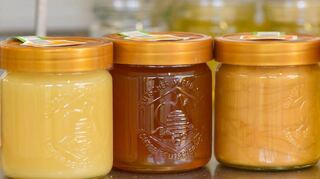 Verschiedene Sorten Honig stehen auf einer Abfüllstation: Raps-, Linde- und Buchweizenhonig.