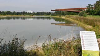 Der Wasserstand ist nicht immer so wie er sein sollte: das Augewässer, darüber der Panoramasteg.