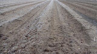 Für die Landwirtschaft ist es wichtig, dass die Böden über eine längere Zeit gefrieren.